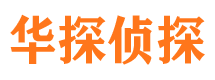 湖滨市侦探公司